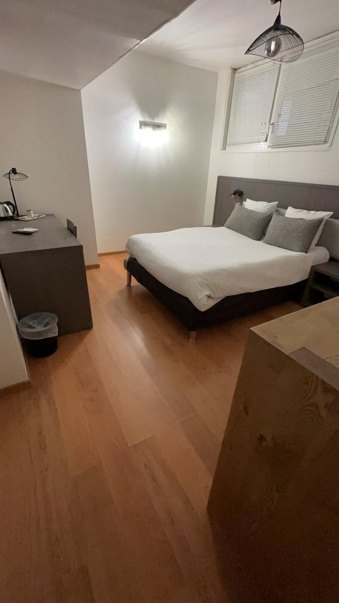 Icone Hotel - Annecy Bagian luar foto