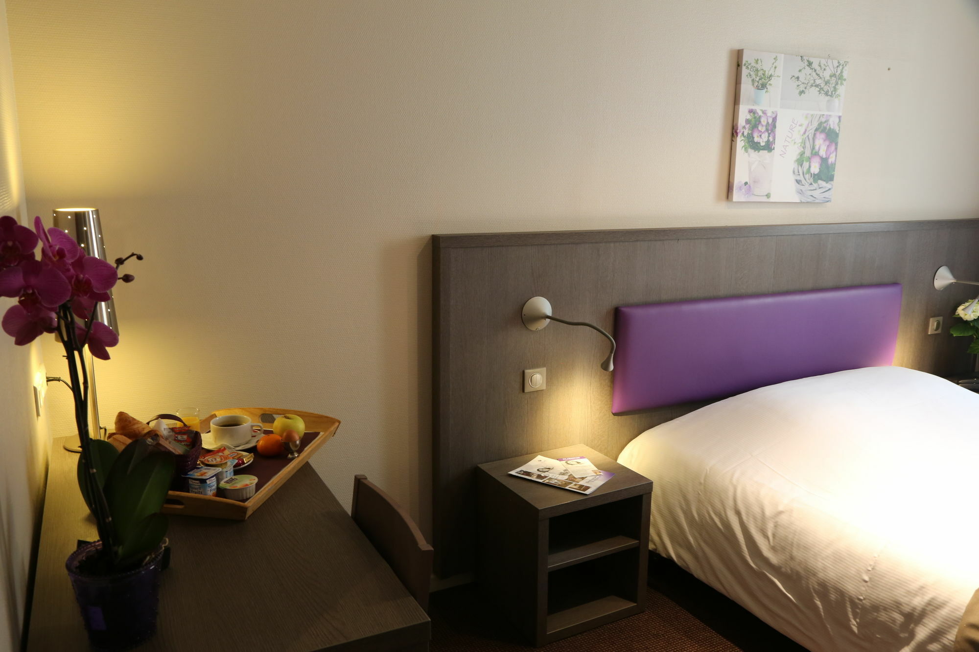 Icone Hotel - Annecy Bagian luar foto